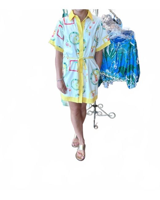 Strut & Bolt Blue Happy Hour Print Shirt Mini Dress