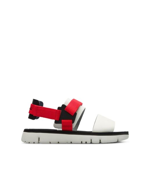 camper oruga multicolor