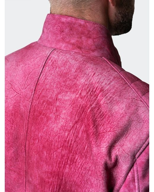 Maceoo Pink Leather Gene for men
