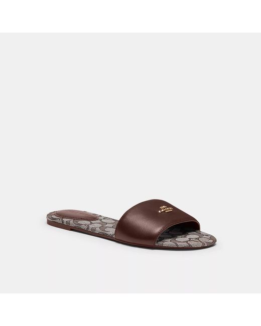 Coach Brown Patterned Slides COACH Slide Sandal in Brown | Lyst main image 3