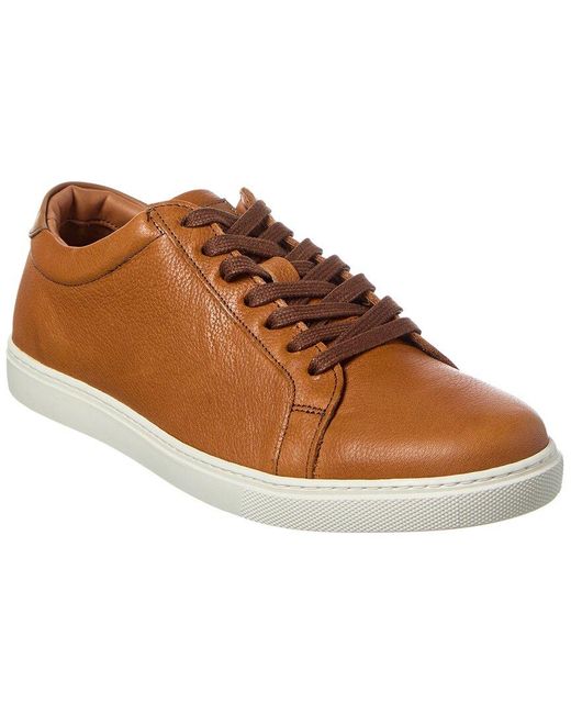 Allen Edmonds Brown Courtside Leather Sneaker for men