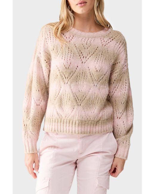 Sanctuary Multicolor Pointelle Sweater