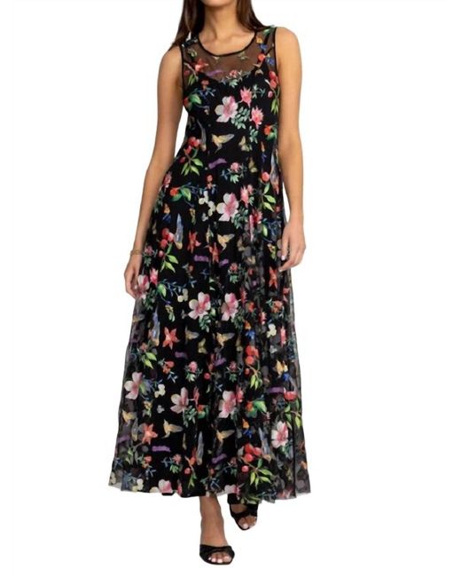 Johnny Was Emilda Floral-embroidered Mesh Maxi Dress in Black | Lyst