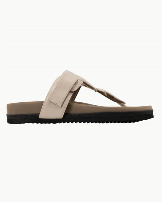 Roam Brown Star Sandal