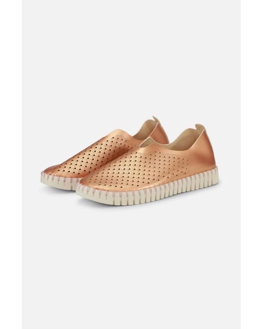 Ilse Jacobsen Multicolor Tulipu 0010 Shoe