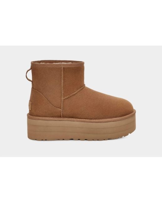 Ugg Brown Classic Mini Platform Boot