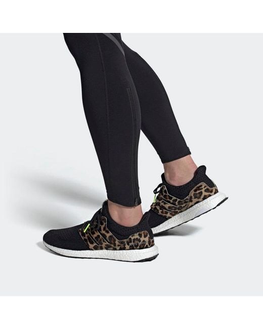 leopard ultraboost