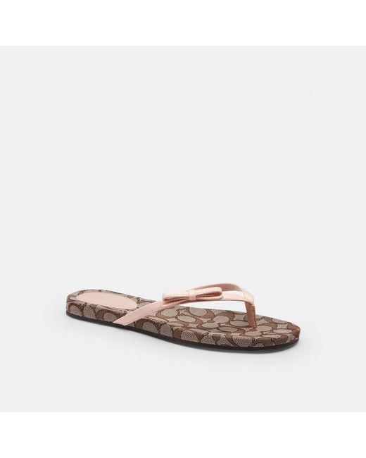COACH Brown Bow Flip Flop