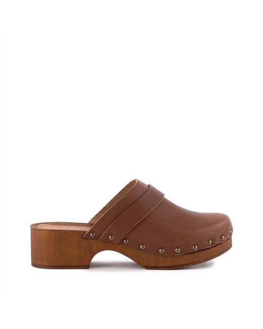 Seychelles Brown Loud & Clear Clog