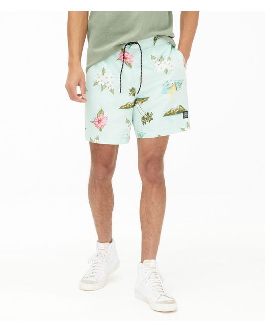 Windsurfer Kickback Jogger Shorts 6.5 
