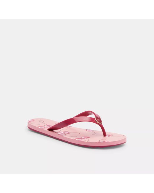 COACH Pink Zayn Flip Flop With Fruit Print