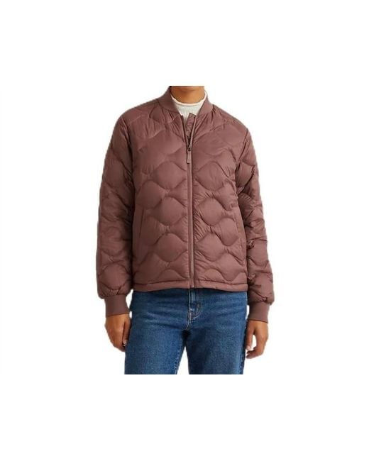 Eddie Bauer Blue Down Puffer Bomber Jacket