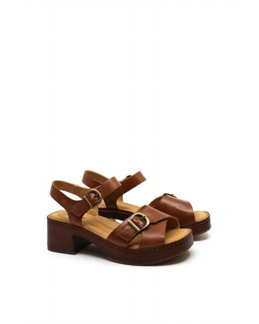Born Brown Bella Sandal