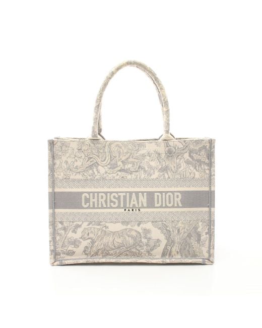 Dior Metallic Book Tote Book Tote Medium Handbag Tote Bag Canvas Light Off