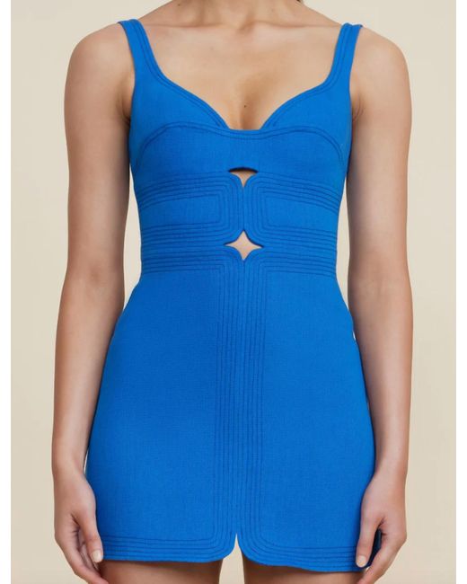 Acler Blue Briar Mini Dress