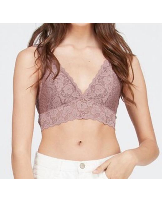 Wishlist Multicolor Scalloped Lace V Neck Padded Bralette