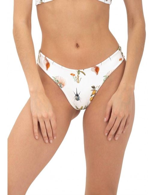 MALAI Multicolor Paramount Bikini Bottom
