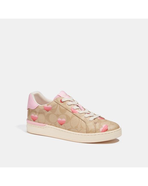coach sneaker outlet