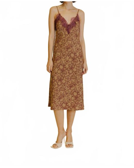 AUREUM Brown Floral Lace Slip Midi Dress