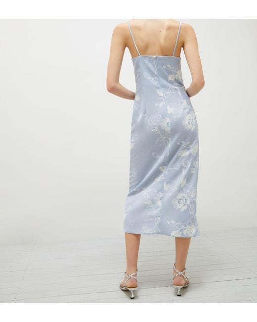 Marella Blue Radix