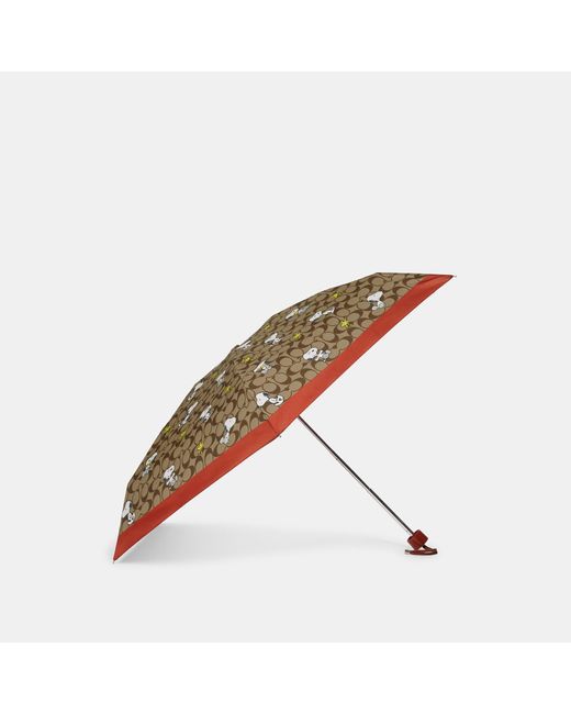 Coach Outlet Brown Coach X Peanuts Uv Protection Mini Umbrella In Signature Snoopy Woodstock Print