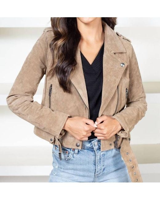 Blank NYC Brown Faux Suede Moto Jacket In Taupe