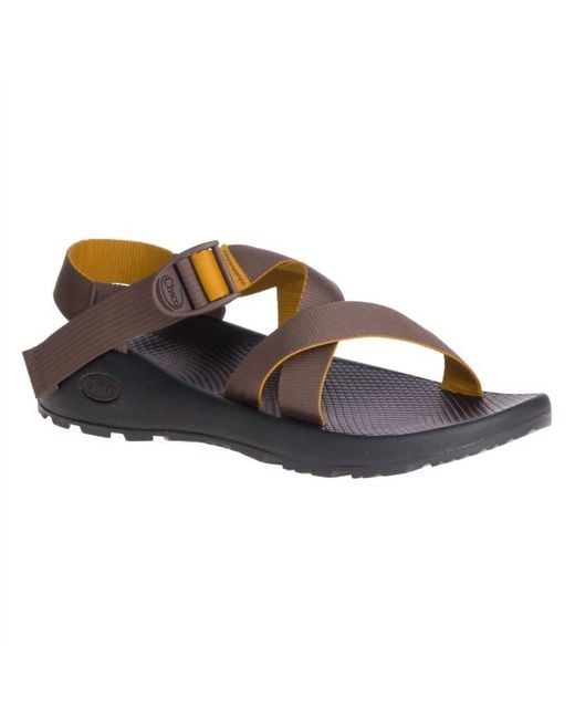 Chaco Brown Z/1 Classic Sport Sandals for men