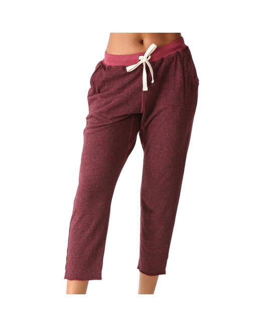 Electric and Rose Red reggie Pant