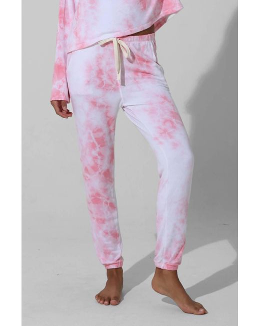 Electric and Rose Pink Rialto Sweatpants