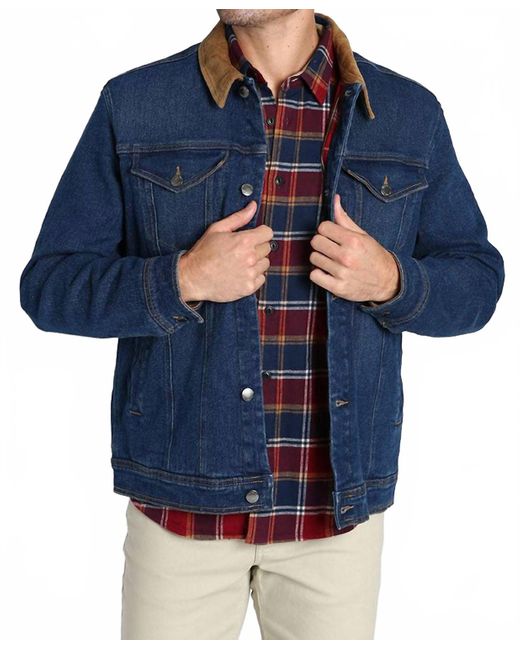 Tigha Belted Biker Moto Style Jacket in Red