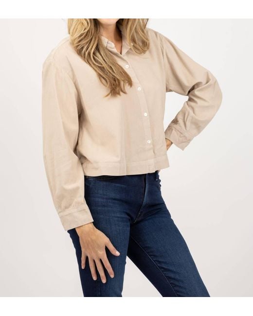 Velvet By Graham & Spencer Blue Joelle Crop Button Up Top