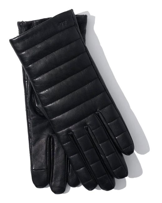 Echo Channel Quilted Leather Gloves In Black