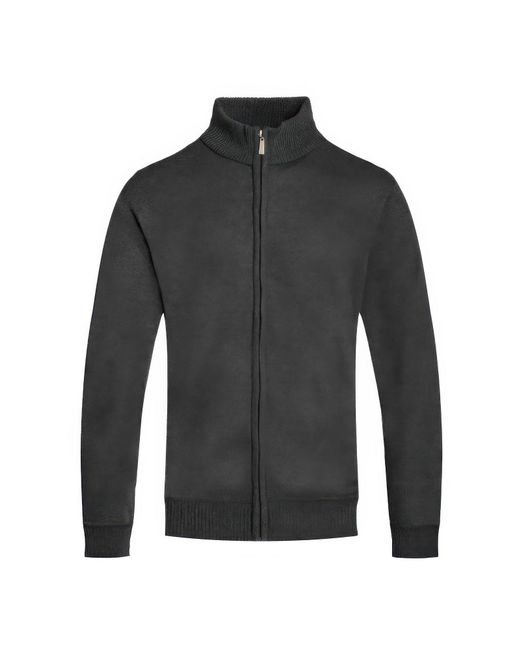 TRUEDAMES Black Solid Full Zip Sweater for men