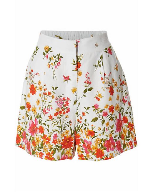 Skies Are Blue Gray Floral Shorts