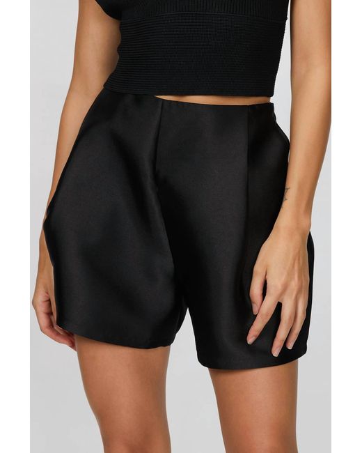 Harris Tapper Black Carlotte Short
