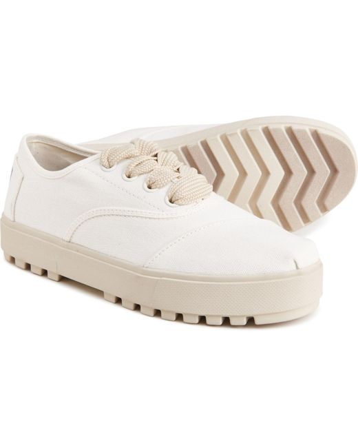 toms white cordones