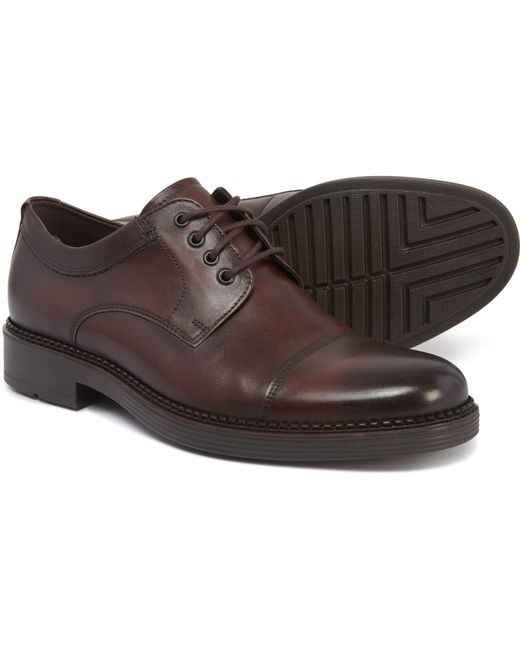 Cap-toe Oxford Shoes in Brown for Men 