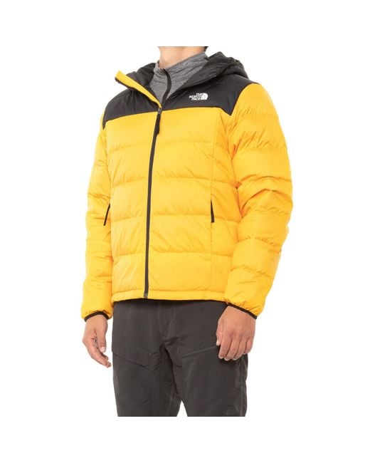 The North Face Synthetic Alpz Luxe Hooded Down Jacket for Men - Lyst