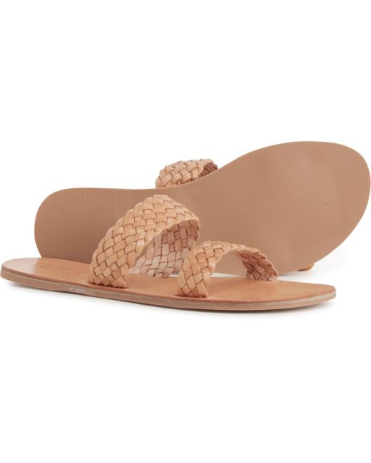 elayne cross clarks