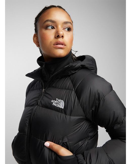 The North Face Hydrenalite Hooded Cropped Puffer Jacket in Black | Lyst
