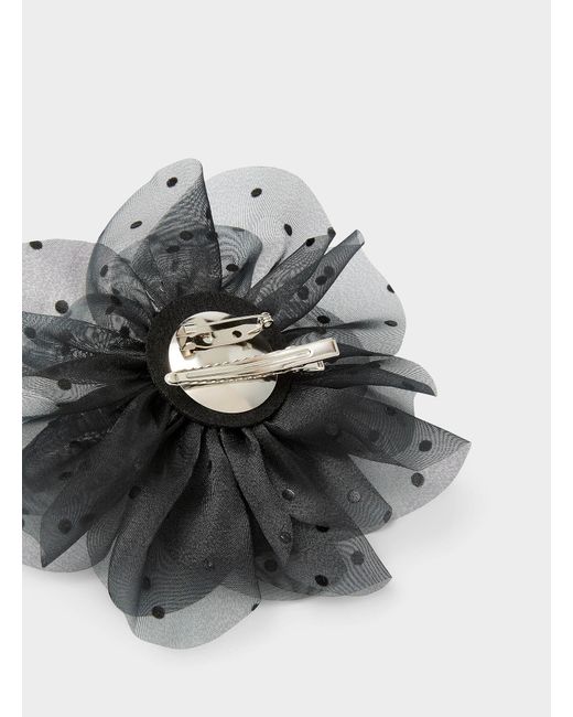 Simon's Black Polka