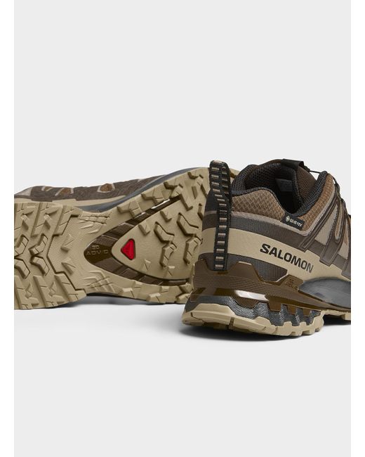 Salomon Brown Xa Pro 3d V9 Gore for men