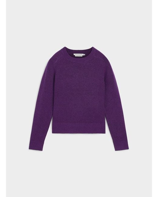 Contemporaine Purple Solid Essential Boxy Sweater