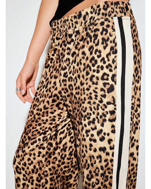 Icône Multicolor Leopard Stripe