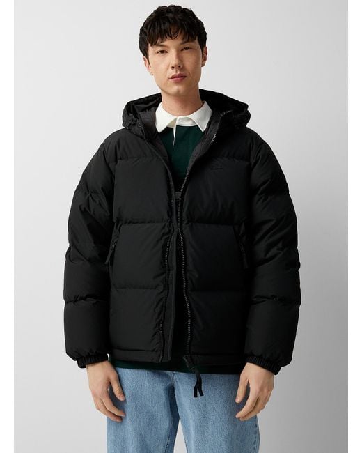 Lacoste Topstitched Logo Monochrome Puffer Jacket in Black for Men | Lyst