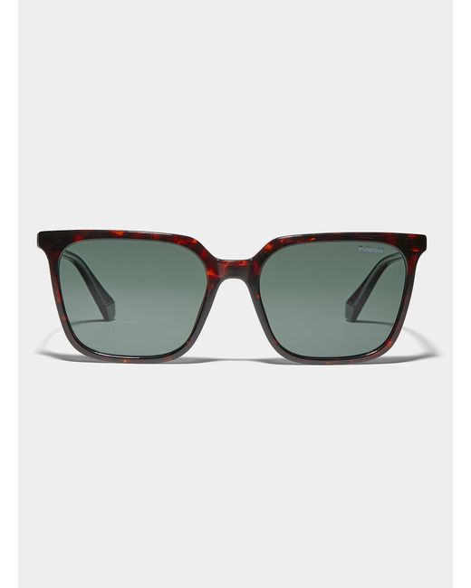 Polaroid Green Bold Square Sunglasses