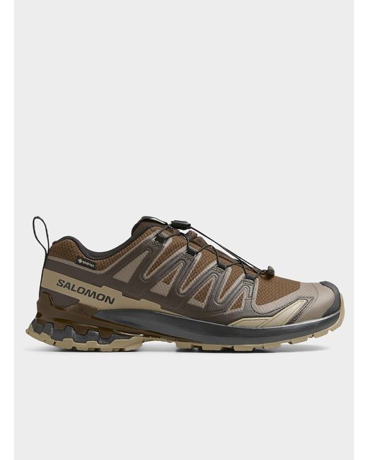 Salomon Brown Xa Pro 3d V9 Gore for men