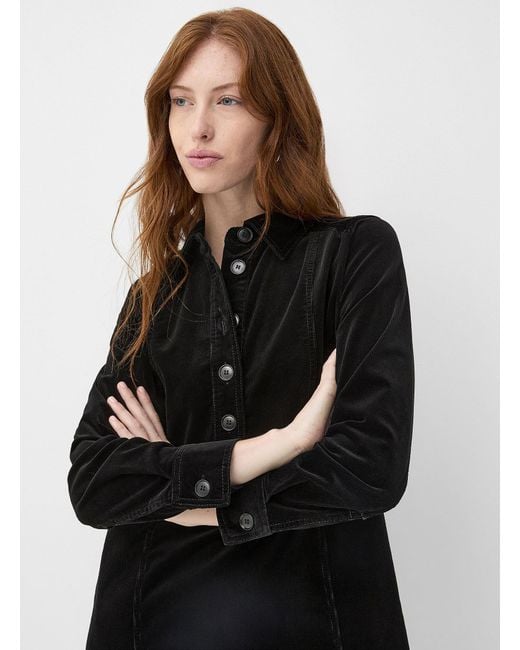 Contemporaine Black Ribbed Velvet Shirt Collar Dress