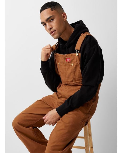 Dickies Multicolor Rust Workwear Overalls for men