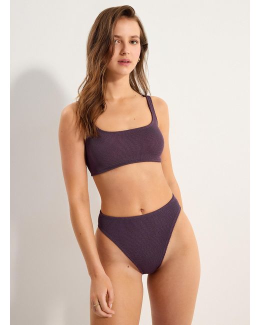 Simon's Purple Ruffle
